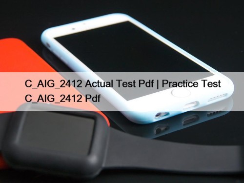 C_AIG_2412 Actual Test Pdf | Practice Test C_AIG_2412 ...